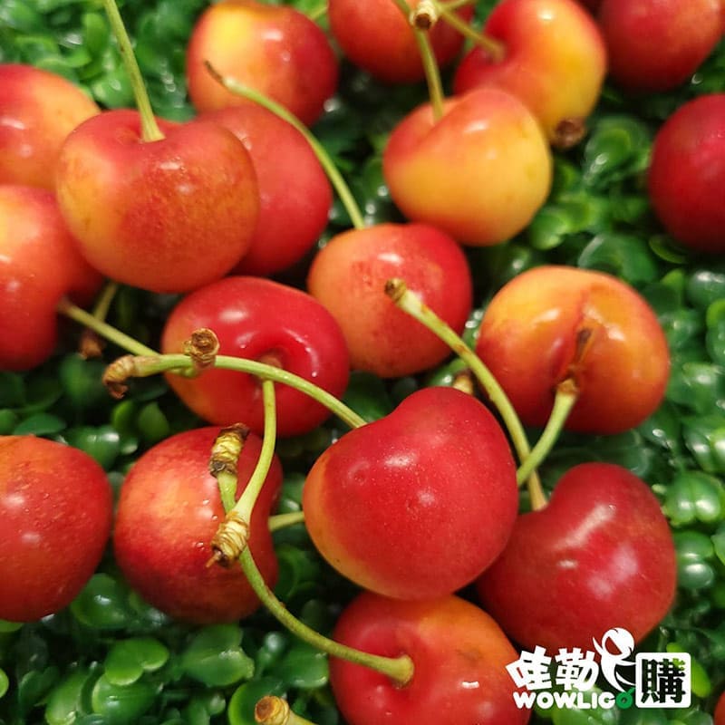 SkylarRae草莓白櫻桃8.5R