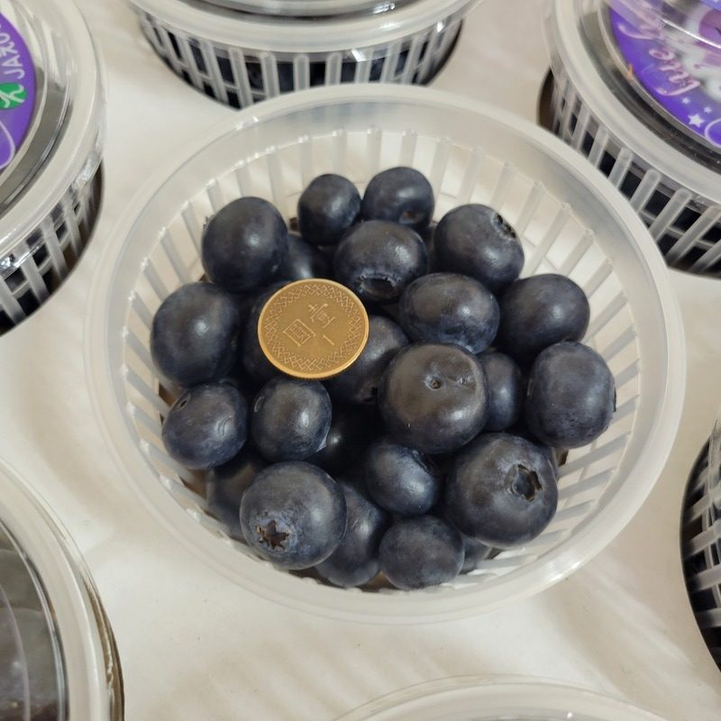 愛媛藍莓